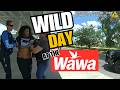 Wild Arrest at Wawa