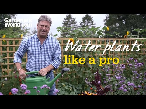 Video: How To Properly Water Flower Crops