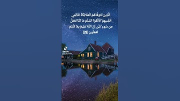 تلاوة هادئة الشيخ عبدالله القرافي