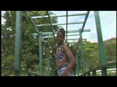 BYRON LEE AND THE DRAGONAIRES - SOCA BUTTERFLY (MUSIC VIDEO).avi