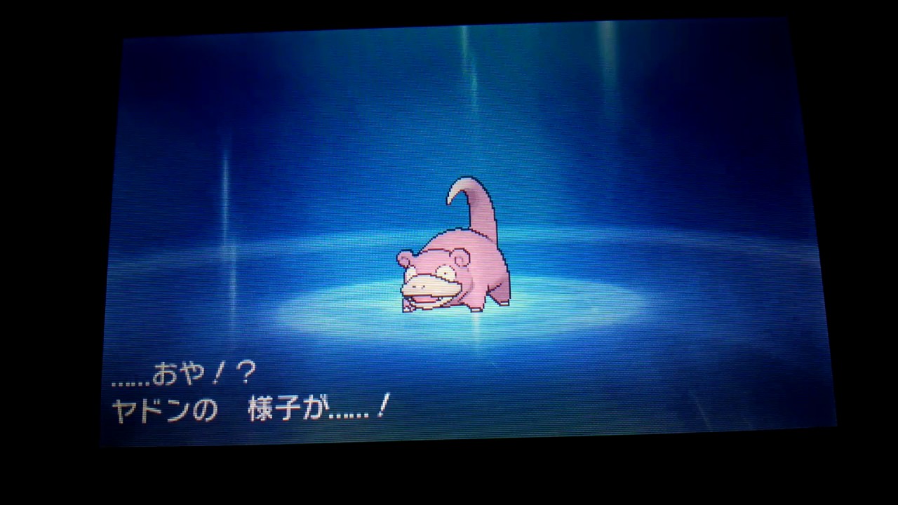 ヤドンvsアリアドス おや Youtube