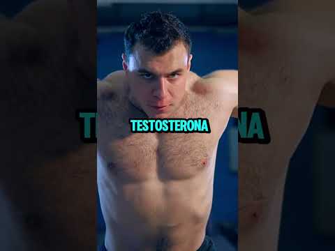 Acelere O Metabolismo A Testo Vem Shorts Testosterone Male