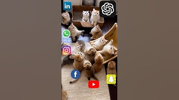 How AI is Taking Over Social Media Apps (2024) #ChatGPT #Gemini #Copilot #catsversion