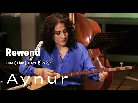 Aynur Doğan -