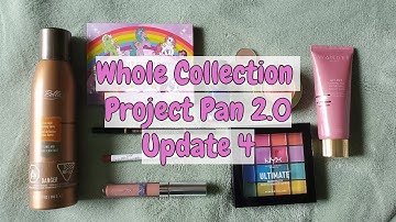 Whole Collection Project Pan 2.0 | Update 4