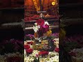 मेरे #ओंकारेश्वर #महादेव #भोलेनाथ #शिव #महाकाल 🌹❤️ #हरहरमहादेव #शिवभक्तिशॉर्ट्स #shivashorts #भक्ति