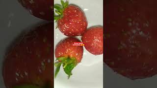 КЛУБНИЧКА 🍓🍓🍓🍓🍓🍓🍓