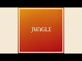 Jungle - Every Night
