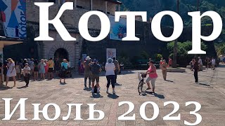 Котор, прогулка по городу июль 2023