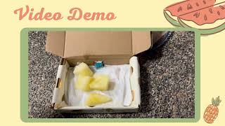 IOT MINI PROJECT [JULY2023] | SMART FRUITS QUALITY MONITORING SYSTEM BY GROUP 11