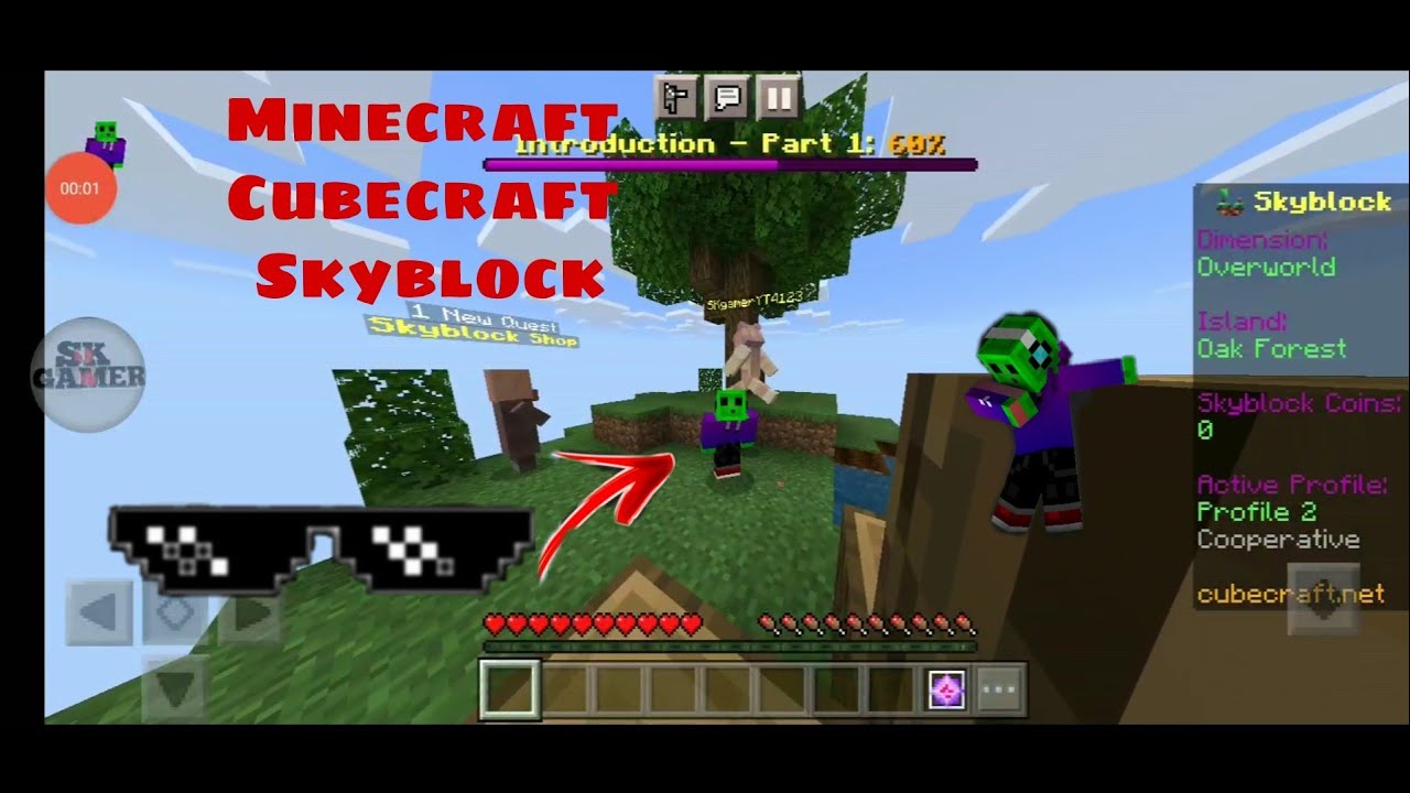 Minecraft cubecraft skyblock with my friend FT. SK gamer - YouTube