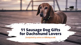 11 Sausage Dog Gifts for Dachshund Lovers in the UK