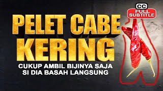 Ilmu PELET CABE KERING,si dia langsung mengajak ANU,efeknya DAHSYAT ❗💔