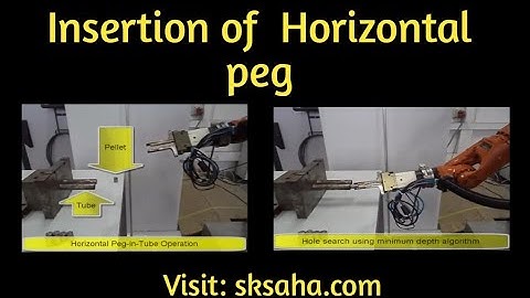 PAR@IITD: Horizontal peg in tube by an industrial robot