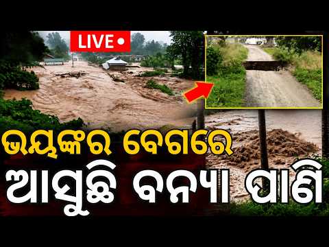 Live : ଆଗକୁ ଆହୁରି ବଢ଼ିବ ପାଣି? Flood Threat in Odisha | Mahanadi Flood Alert | Flood News