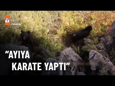 Ayıya karşı kendini tekme tokat savundu! - atv Haber 19 Ekim 2022