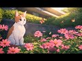 Calming lofi music with a cat in the garden   relaxation  chill beats