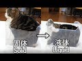 液体化するねこ。-Maru becomes liquid.-