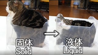 液体化するねこ。-Maru becomes liquid.- 液体化するねこ。-Maru becomes liquid.-
