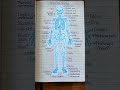 SKELETAL SYSTEM #anatomy #shortvideo #trending #mbbs #medicalstudent