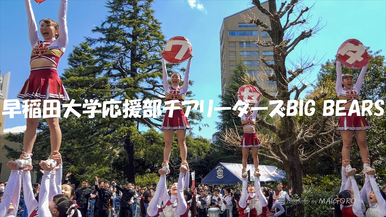 これを見たら絶対に早稲田を受験すべし！／早稲田大学応援部チア