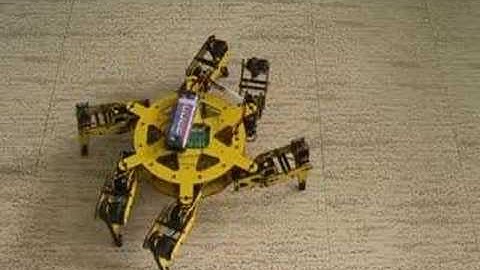 Hexapod first walking gait