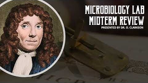 Microbiology Lab Midterm Review