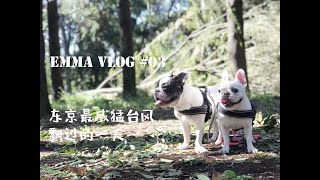 【Emma vlog #03】 | 10月史上最威猛台风的一天 | 日本也能吃到阳澄湖大闸蟹 | 周末早餐 | 自制韭菜盒子 | 鸡肉咖喱饭 (2019) by Emma is emma 170 views 4 years ago 18 minutes