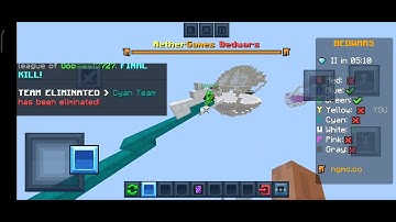 Fly hacker in Nethergames