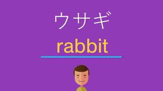 ウサギは英語で何と言う Youtube