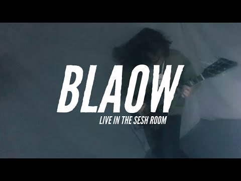 ZIG MENTALITY - LIVE IN THE SESH ROOM: BLAOW