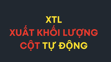 24. XTL - Xuất khối lượng ván khuôn, thép, bê tông cột