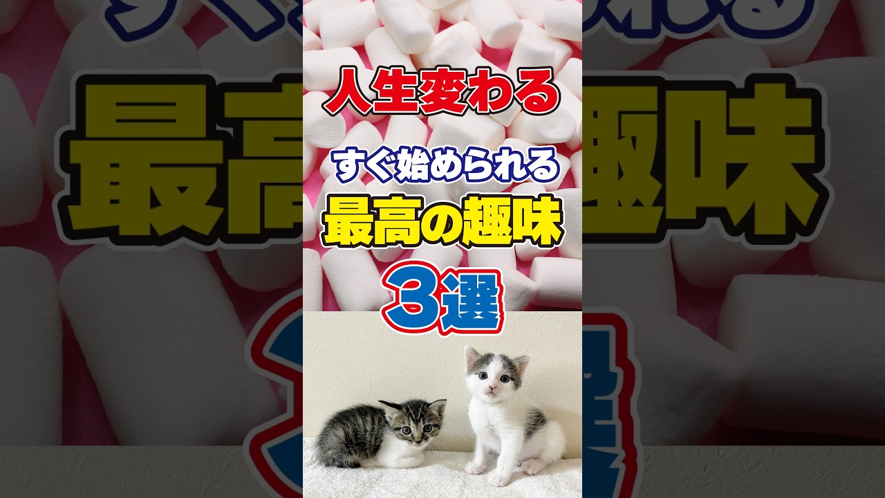 【人生変わる】すぐできて一生楽しめる趣味3選!映画・登山・飼育 #shorts #趣味 #休日の過ごし方