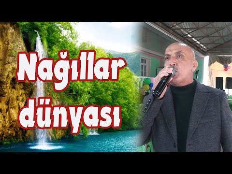 Nəbi Naftalanlıdan super ifa, sintezator Sadiq Goranboylu (Rəşadın oğlunun toy məclisi)