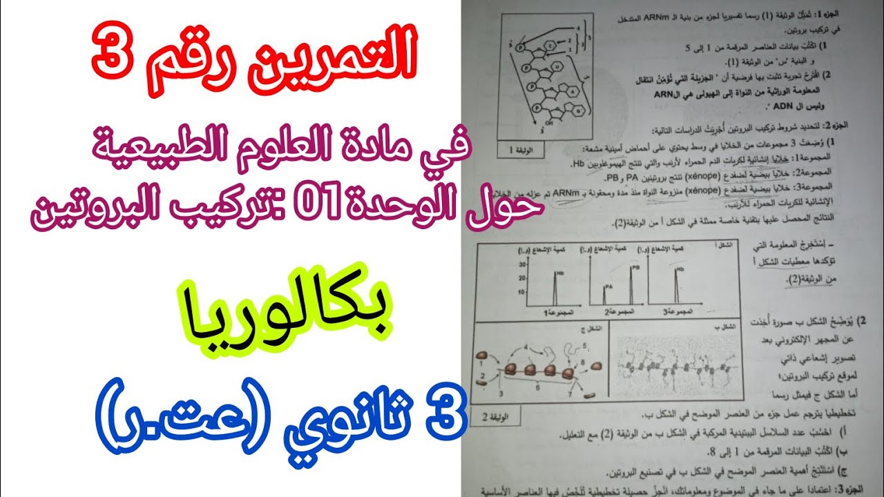 التمرين رقم 3 في مادة العلوم الطبيعية و الحياة حول الوحدة01:تركيب البروتين 🍖 للسنة 3 ثانوي/بكالوريا
