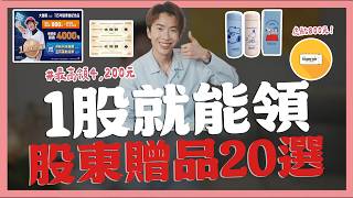 1股就能領，3月股東紀念品20選，大魯閣18元就送4,200元！虎航53元送800元｜SHIN LI 李勛