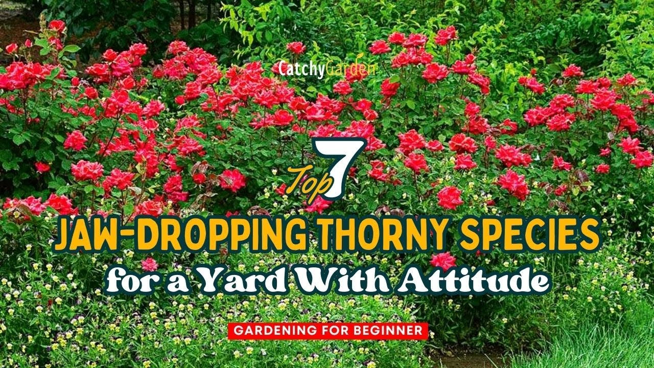 7 Best Jaw-Dropping Thorny Species for a Yard With Attitude! ๐น๐ฟ๐ท // Gardening Ideas