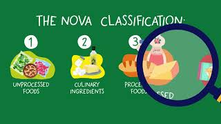 Understanding Food Processing | PLAN'EAT Food Sustainability Series