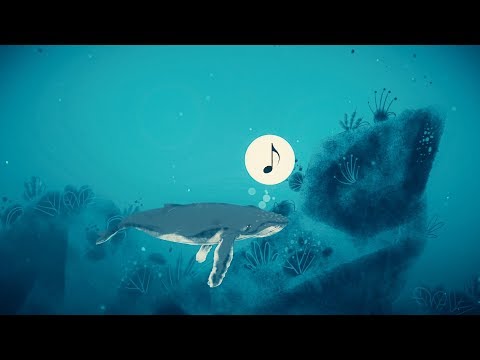 Ballenas que cantan jazz