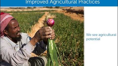 Building Resilience in Eastern Africa- Adeso