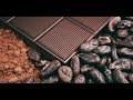 How To Make Cocoa Butter At Home - YouTube