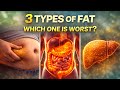 The 3 Types of Fat in the Human Body (And Why They Matter)