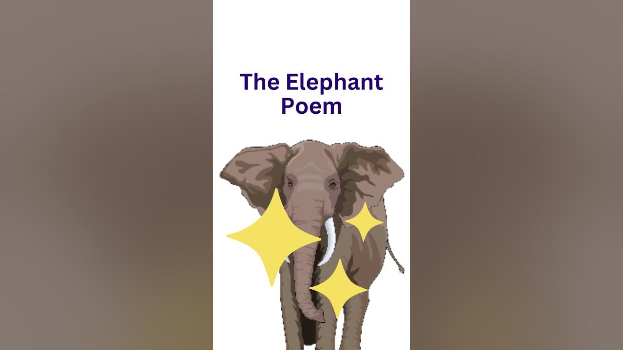 The Elephant Poem Nursery Rhyme YouTube
