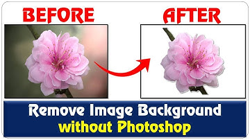 How to Remove Image Background in PowerPoint 2010/2013/2016 | How to make background transparent