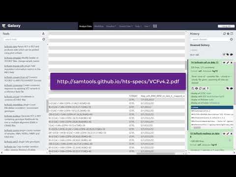 Video: VariantDB: Un Portale Flessibile Di Annotazione E Filtro Per I Dati Di Sequenziamento Di Prossima Generazione