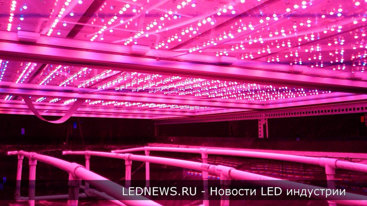 Светодиодные светильники для теплиц | slideshow - YouTube