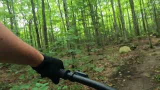 Big Bear Trail 1 of 4 - MTB Trail Rides (RED rated) Wiarton MTB Adventure Park