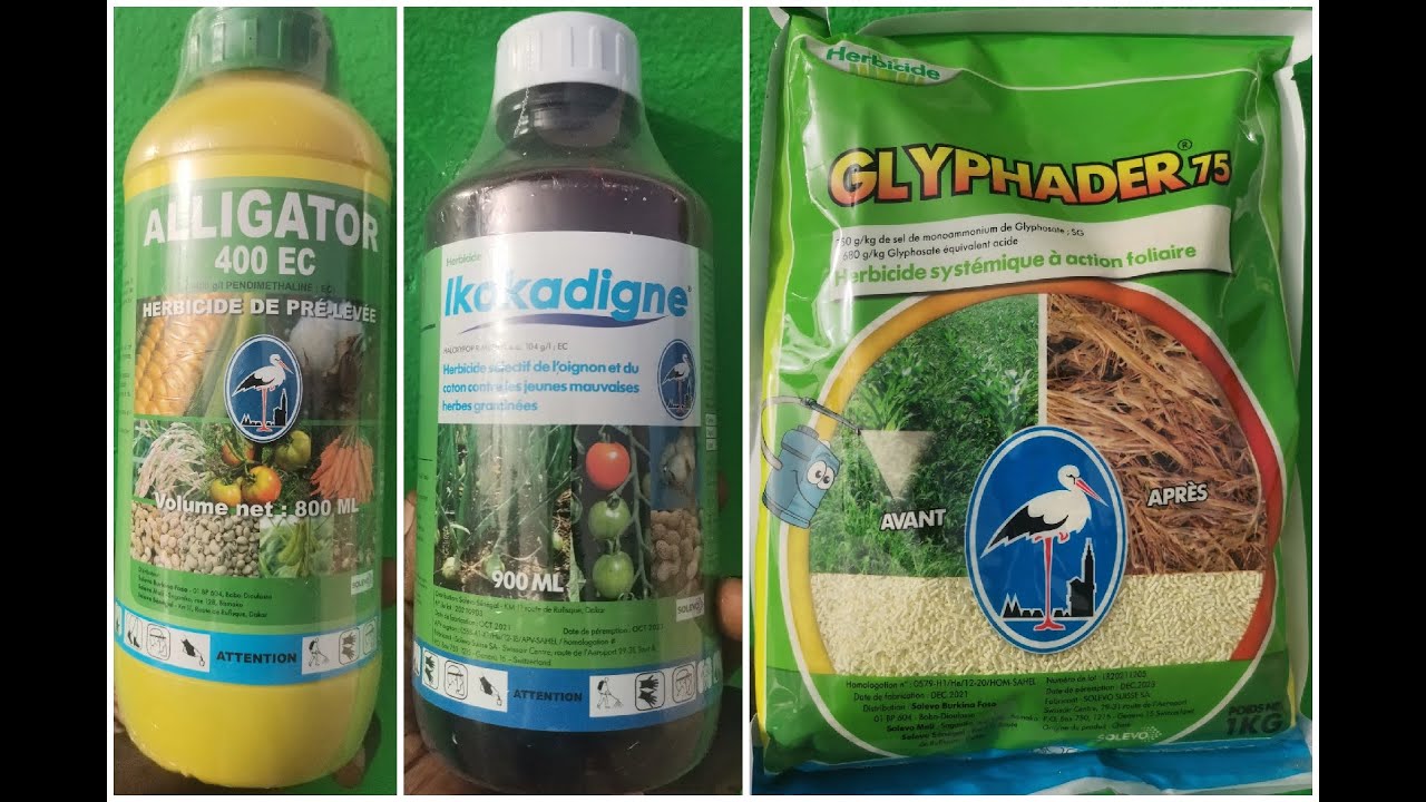 Modèles de trous de paillis de plastique utilisés pour supprimer les mauvaises herbes avec un
