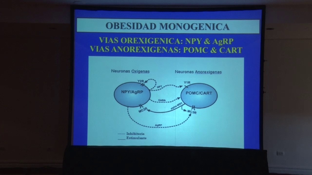 Genética en obesidad – Dr. Mariano Taverna argentina futbol