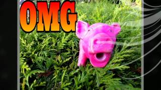 schweinetag -20120827-2300.mp4